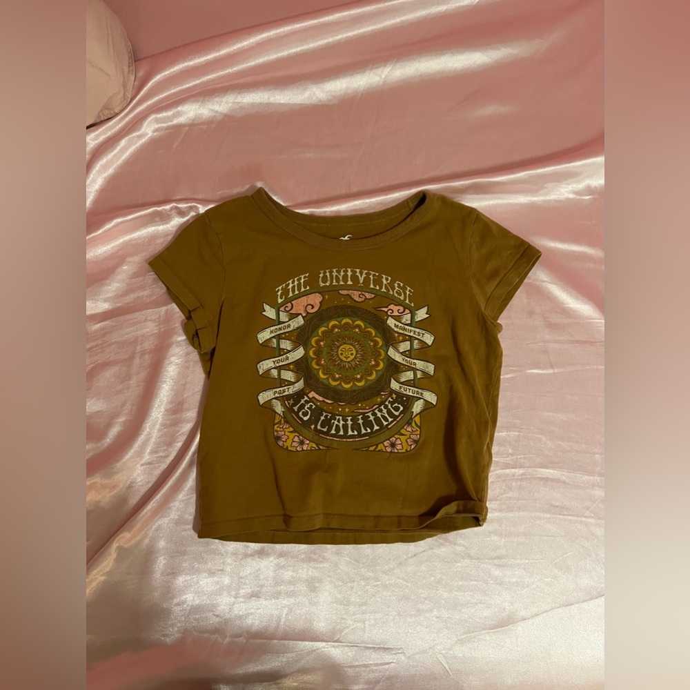 HOLLISTER XS Brown Crop Top (Never Been Worn Before)